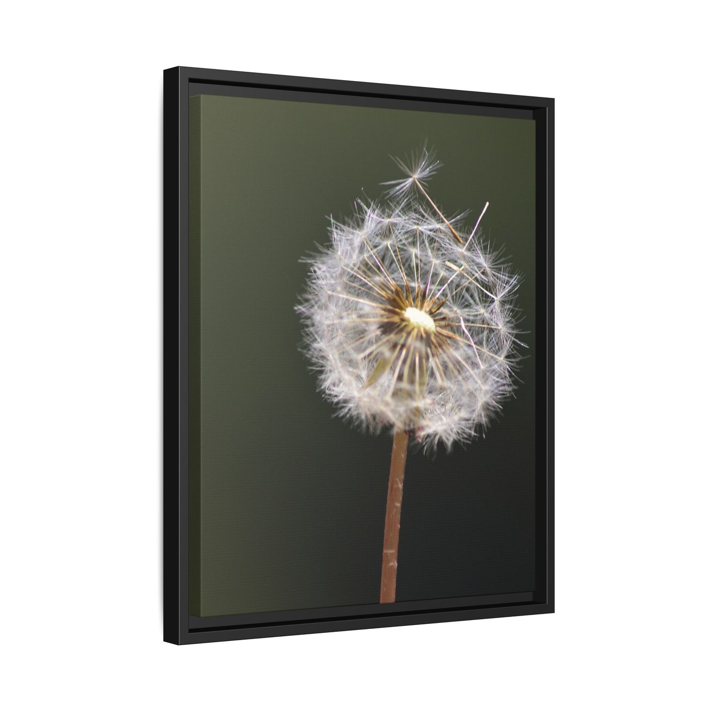 Framed Dandelion Canvas Print — Matte Botanical Wall Art