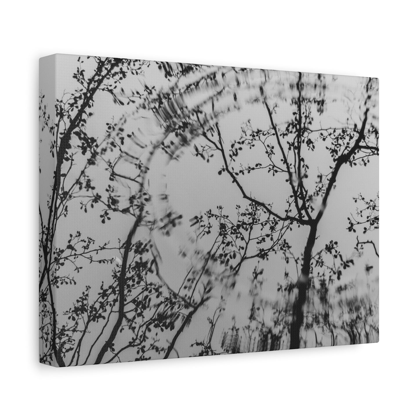 Canvas Wall Art — Monochrome Blurred Ferris Wheel with Tree Silhouettes