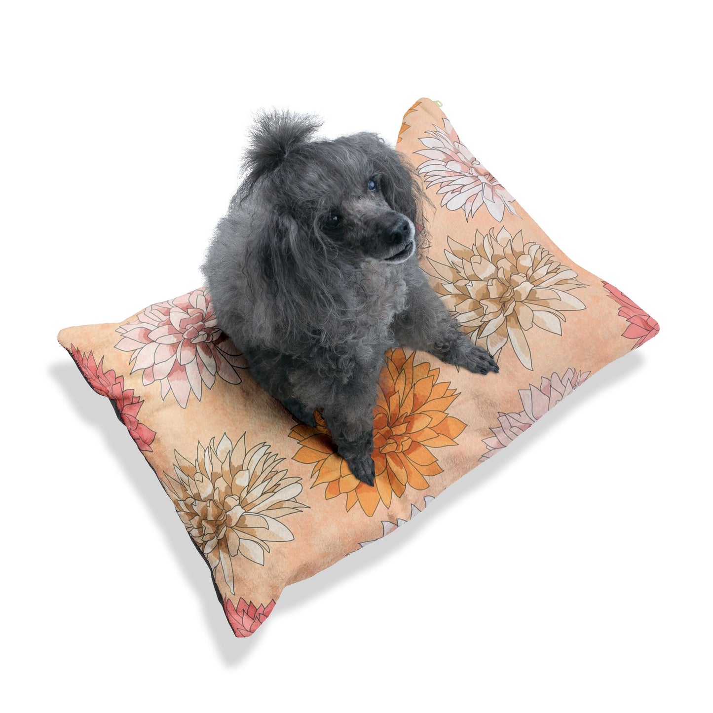 Pet Bed