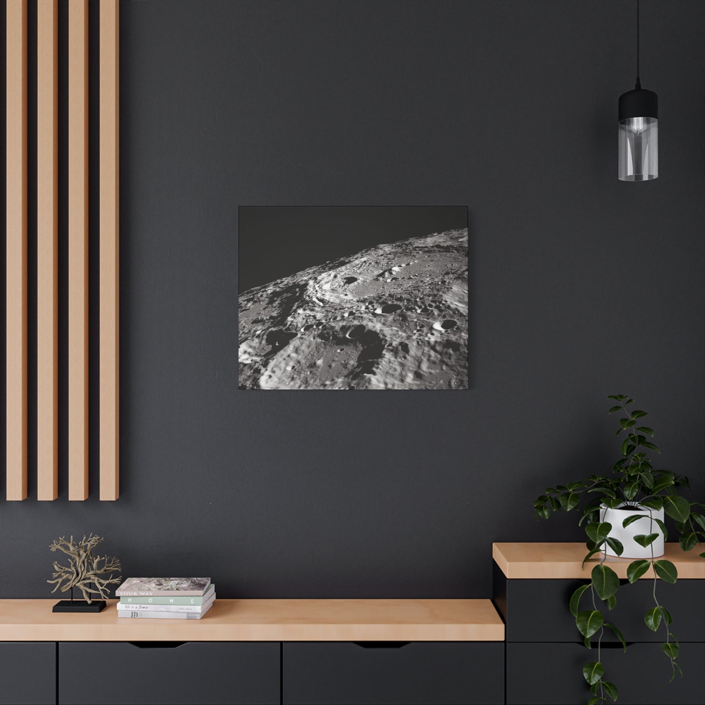 Lunar Surface Matte Canvas Print — Black & White Moon Crater Wall Art