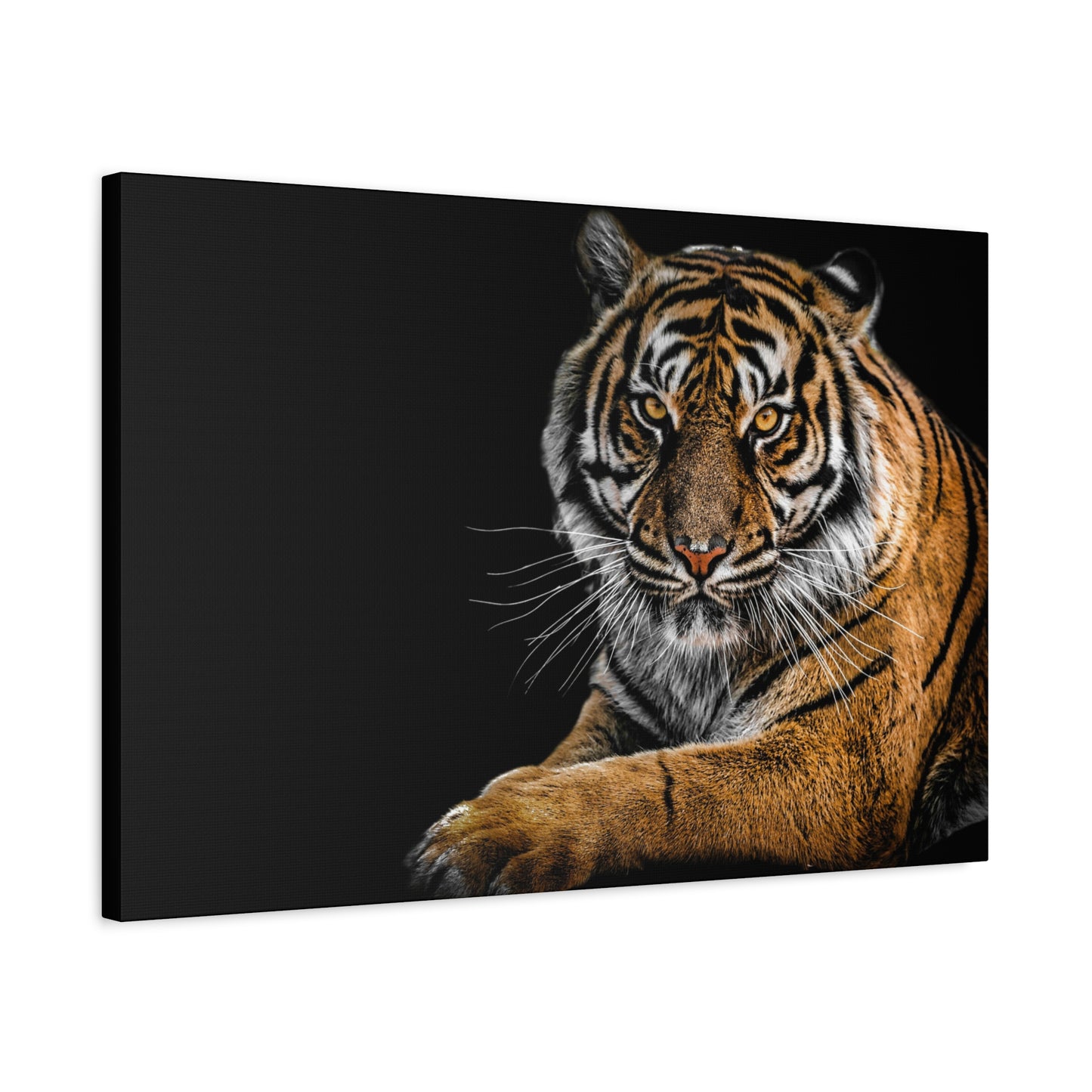 Majestic Tiger Canvas Art, Perfect for Animal Lovers