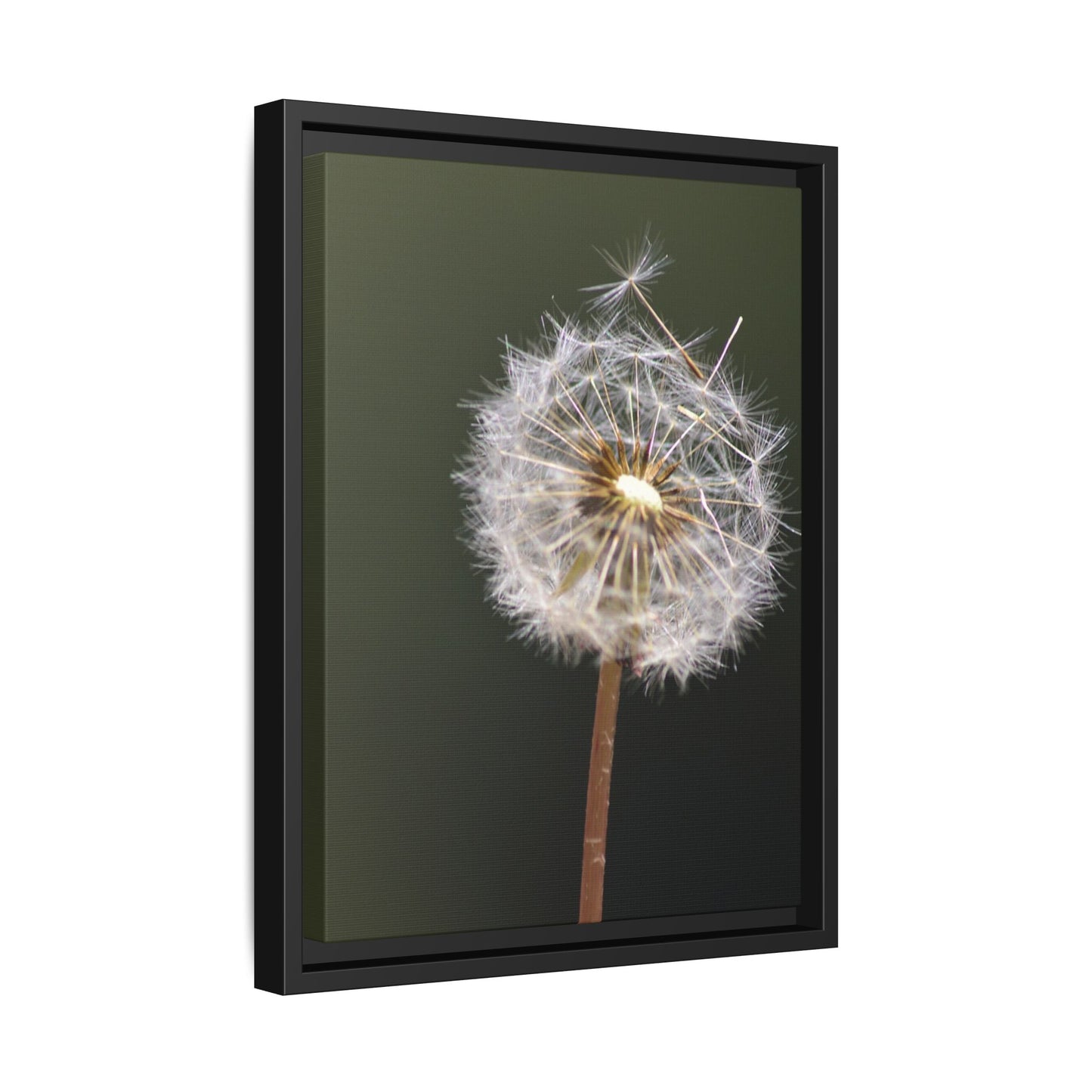 Framed Dandelion Canvas Print — Matte Botanical Wall Art