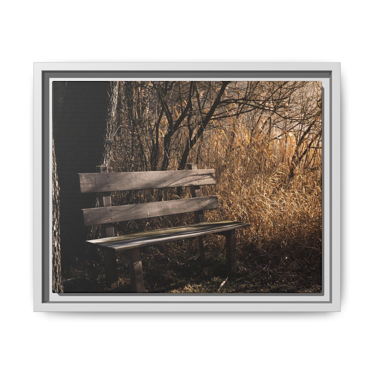 Framed Matte Canvas Print — Autumn Park Bench Photography