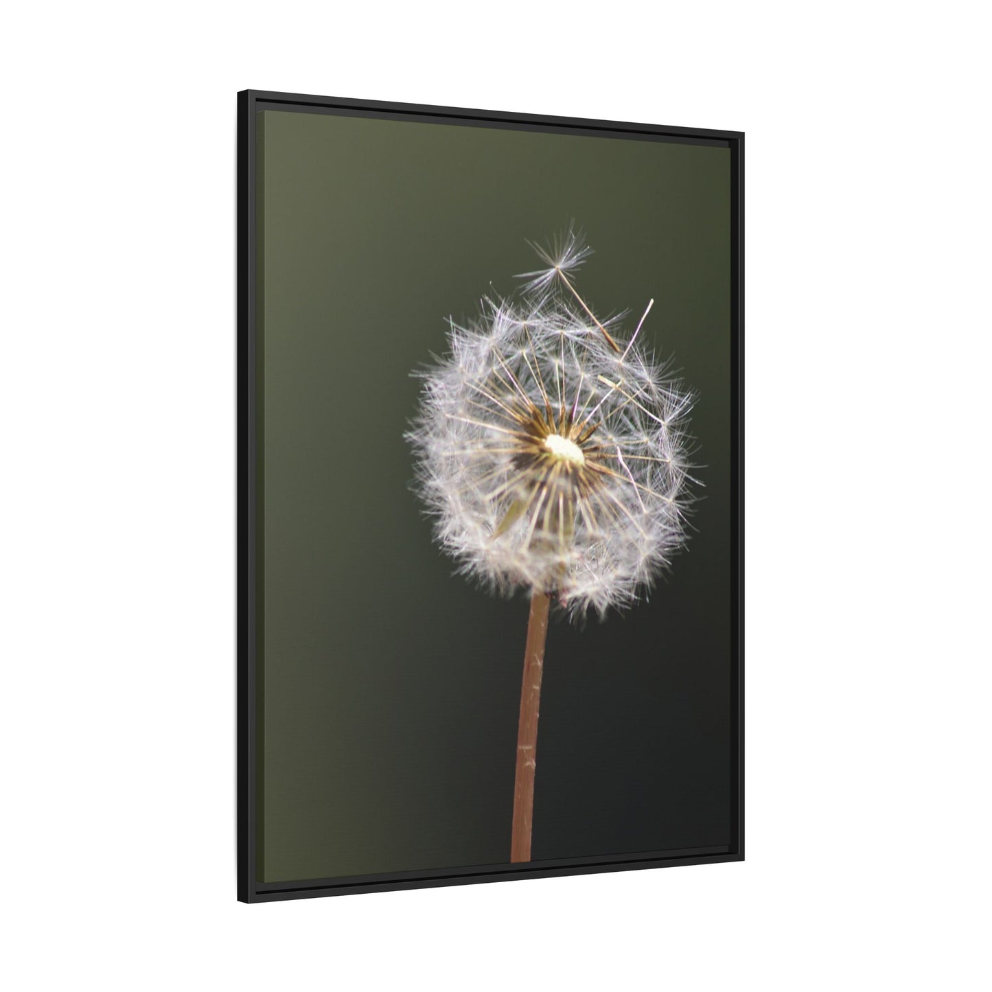 Framed Dandelion Canvas Print — Matte Botanical Wall Art