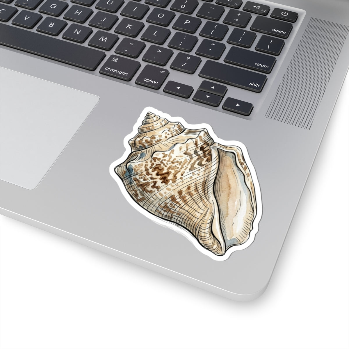 Seashell Kiss-Cut Sticker — Realistic Conch Shell Laptop Decal