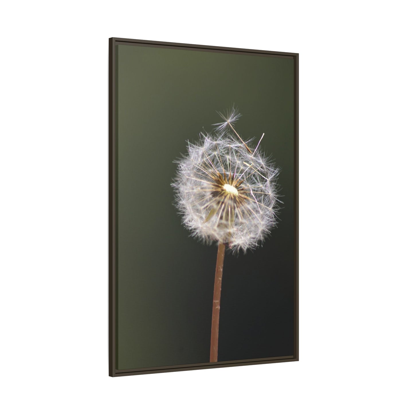 Framed Dandelion Canvas Print — Matte Botanical Wall Art