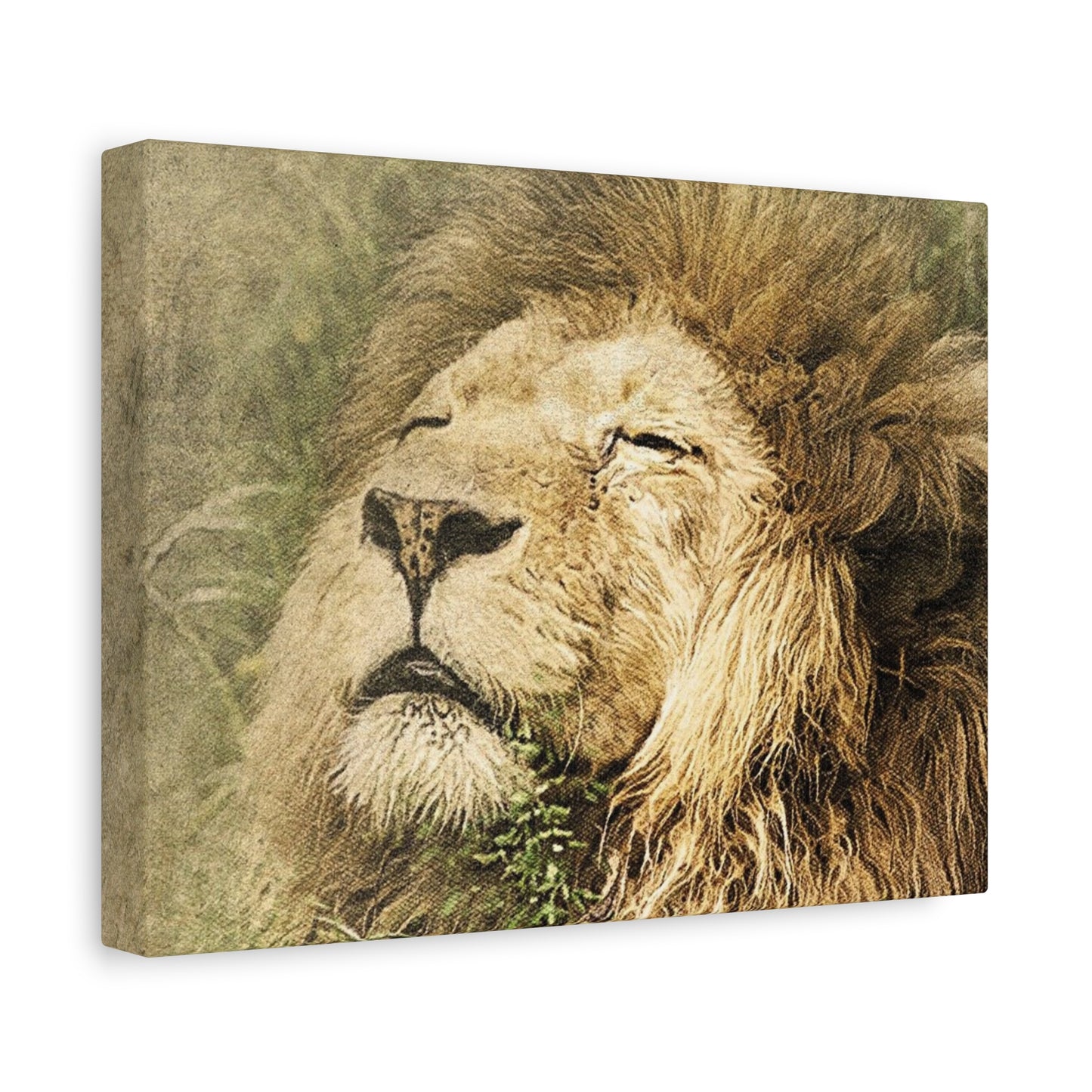 Lion Portrait Matte Canvas Print — Stretched 1.25" Wall Art