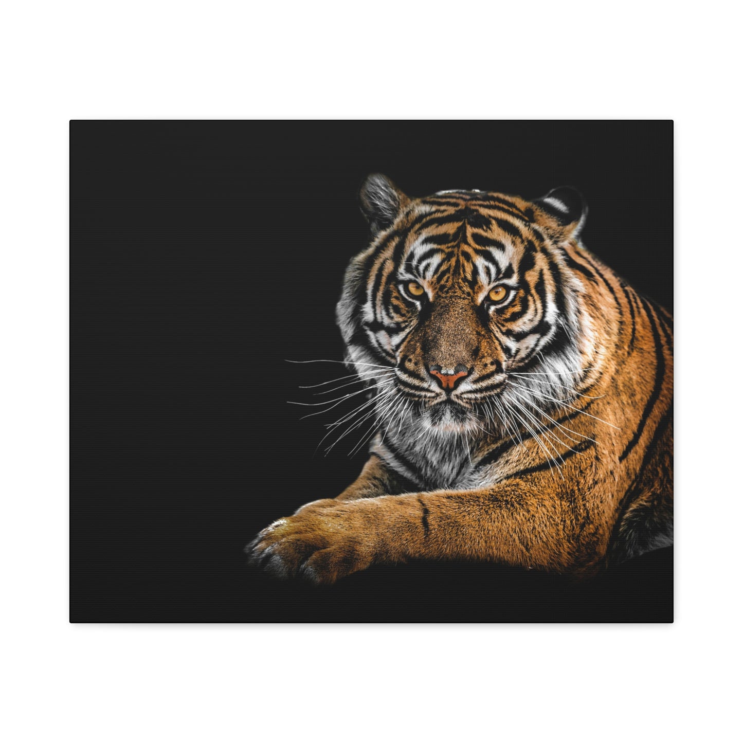 Majestic Tiger Canvas Art, Perfect for Animal Lovers