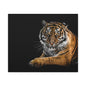 Majestic Tiger Canvas Art, Perfect for Animal Lovers