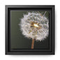 Framed Dandelion Canvas Print — Matte Botanical Wall Art