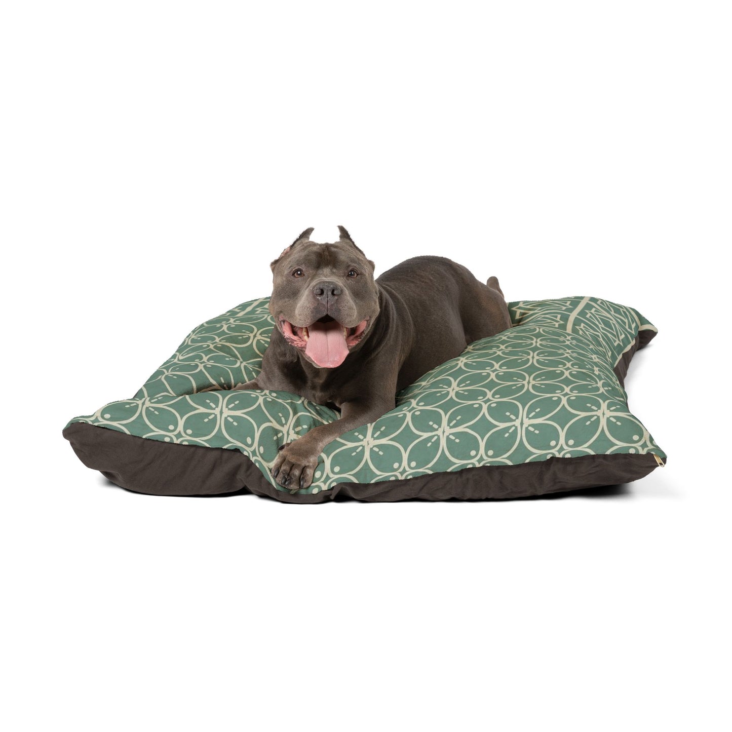 Pet Bed