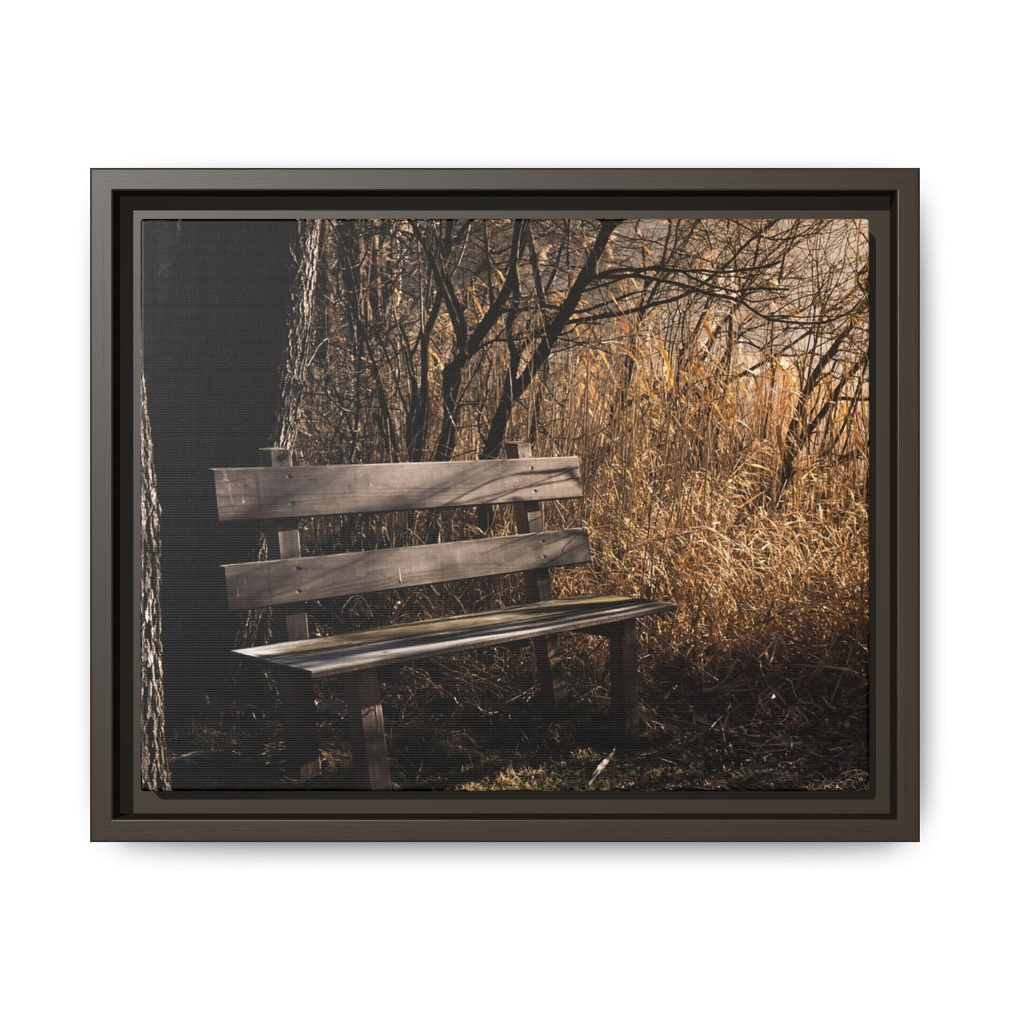 Framed Matte Canvas Print — Autumn Park Bench Photography