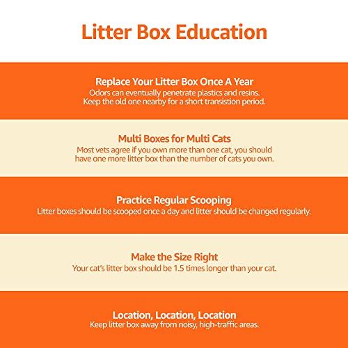 Amazon Basics No-Mess Hooded Enclosed Cat Litter Box with Odor Control and Swinging Door, Large, 24" x 18" x 17", Multicolor