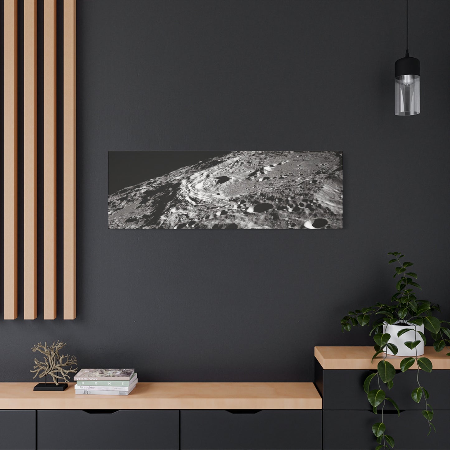 Lunar Surface Matte Canvas Print — Black & White Moon Crater Wall Art