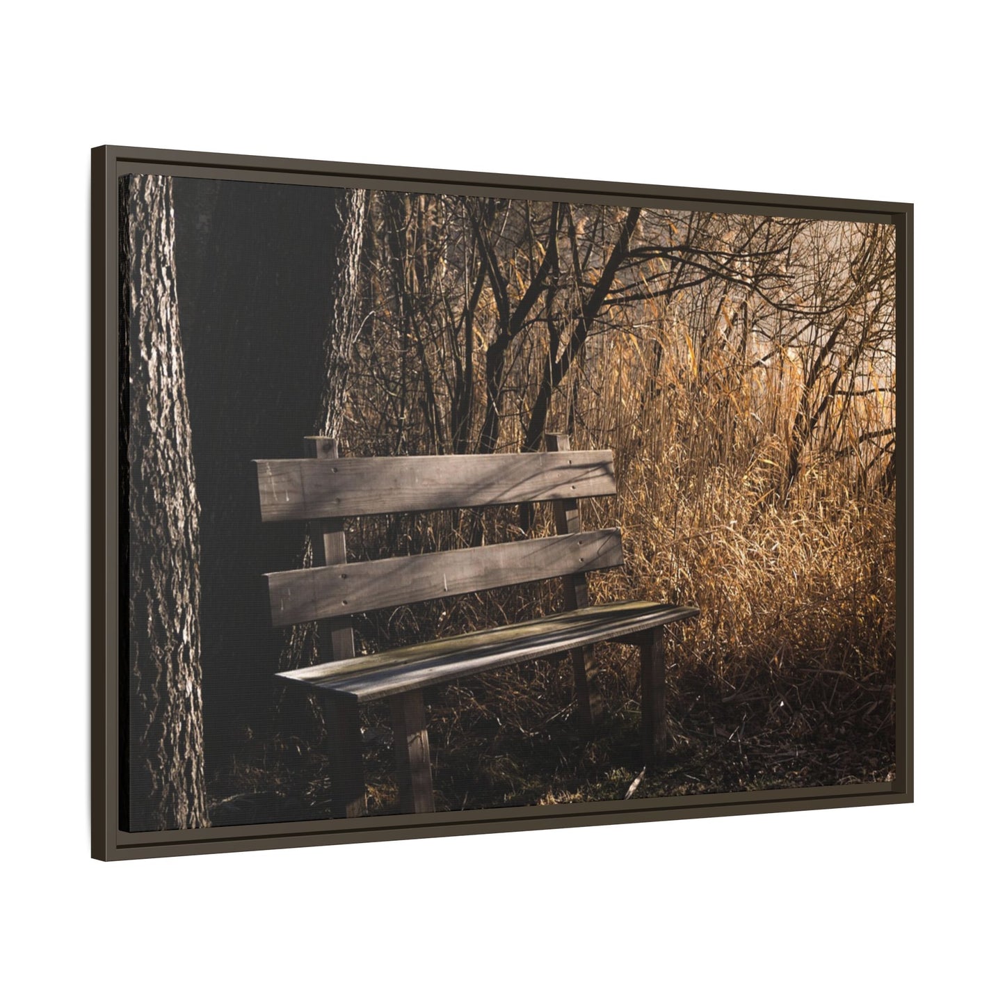 Framed Matte Canvas Print — Autumn Park Bench Photography