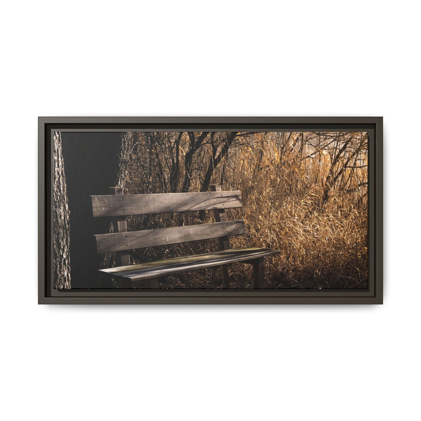 Framed Matte Canvas Print — Autumn Park Bench Photography