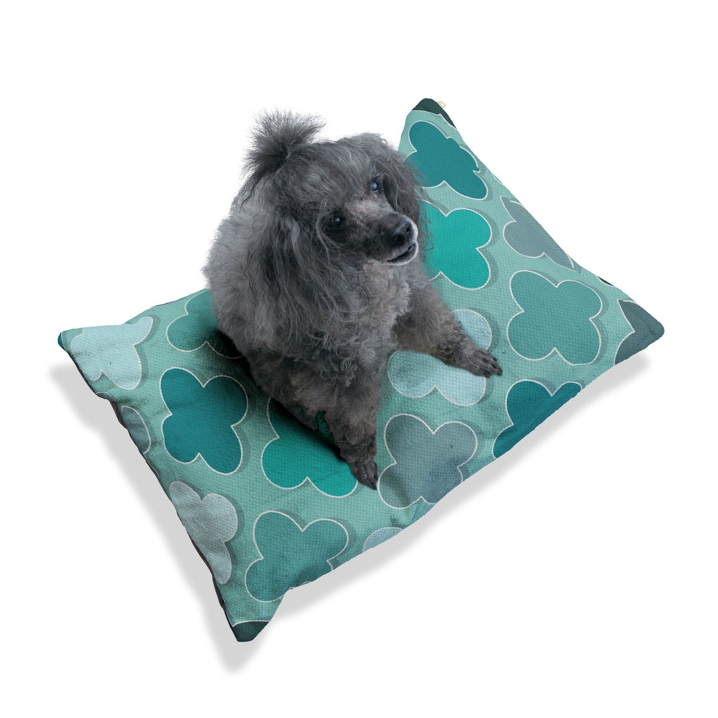 Pet Bed