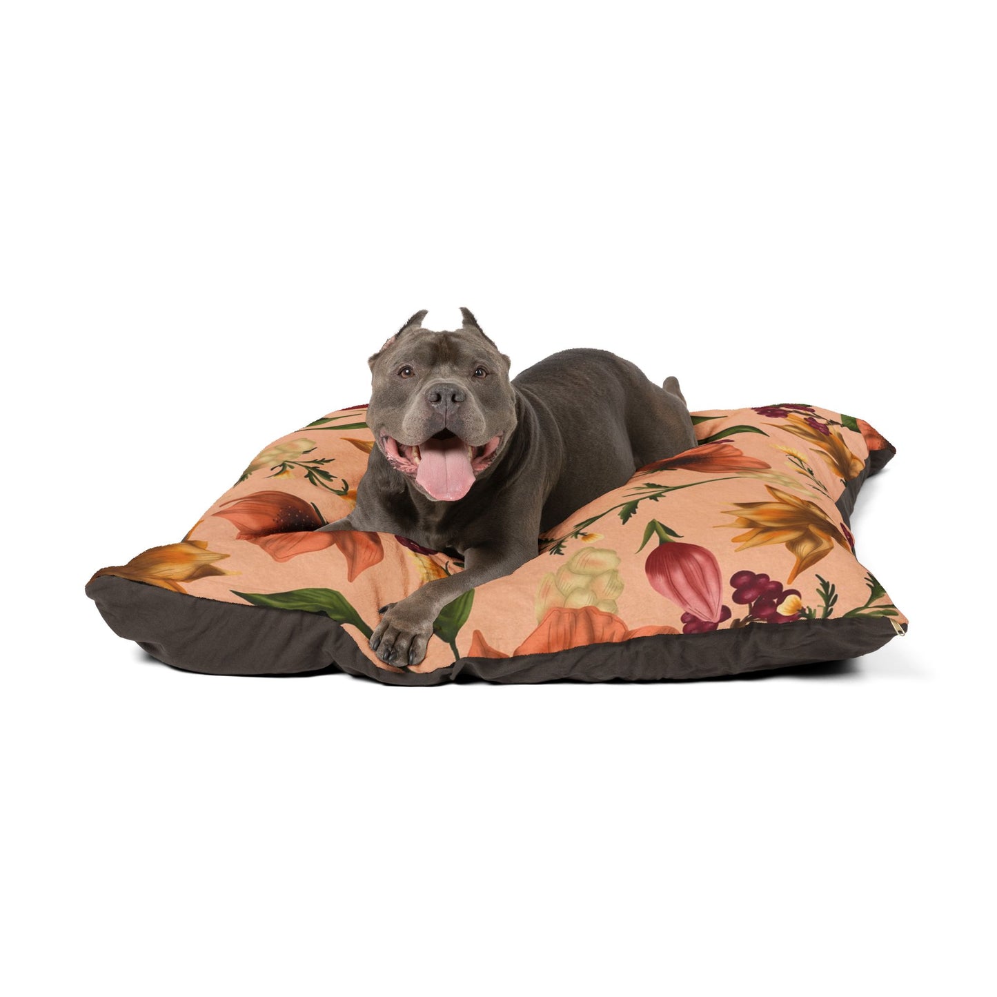 Pet Bed