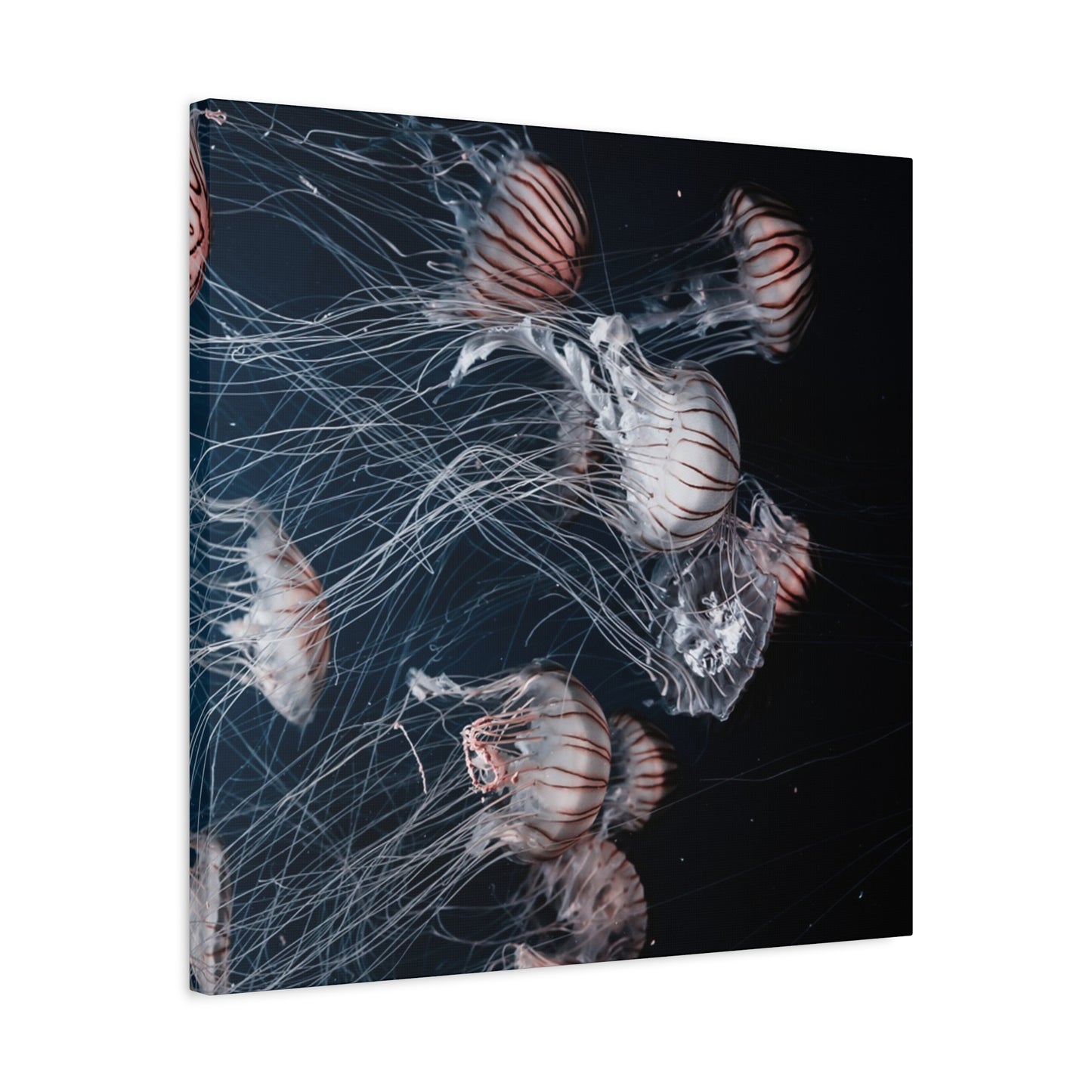 Jellyfish Swarm Matte Stretched Canvas