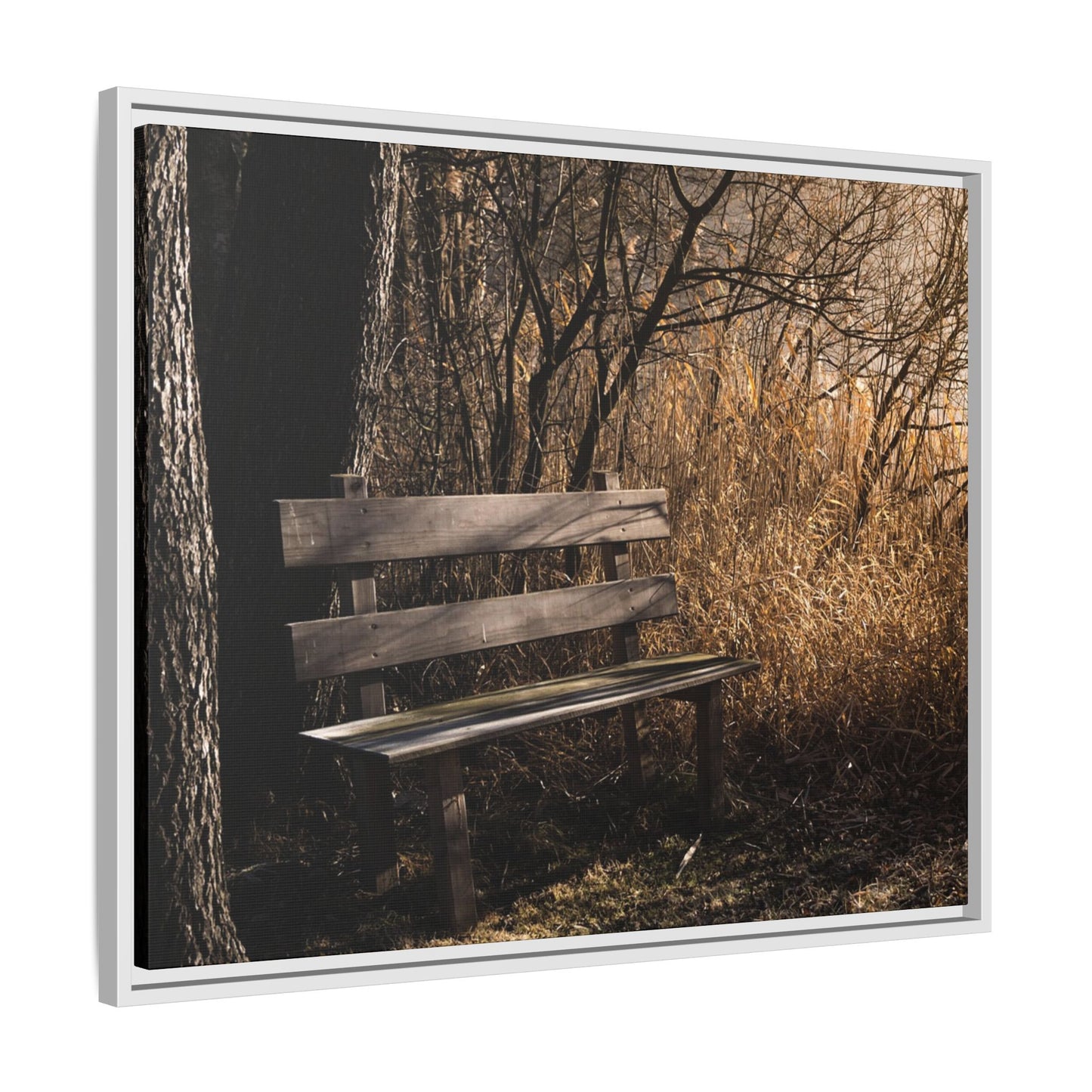 Framed Matte Canvas Print — Autumn Park Bench Photography