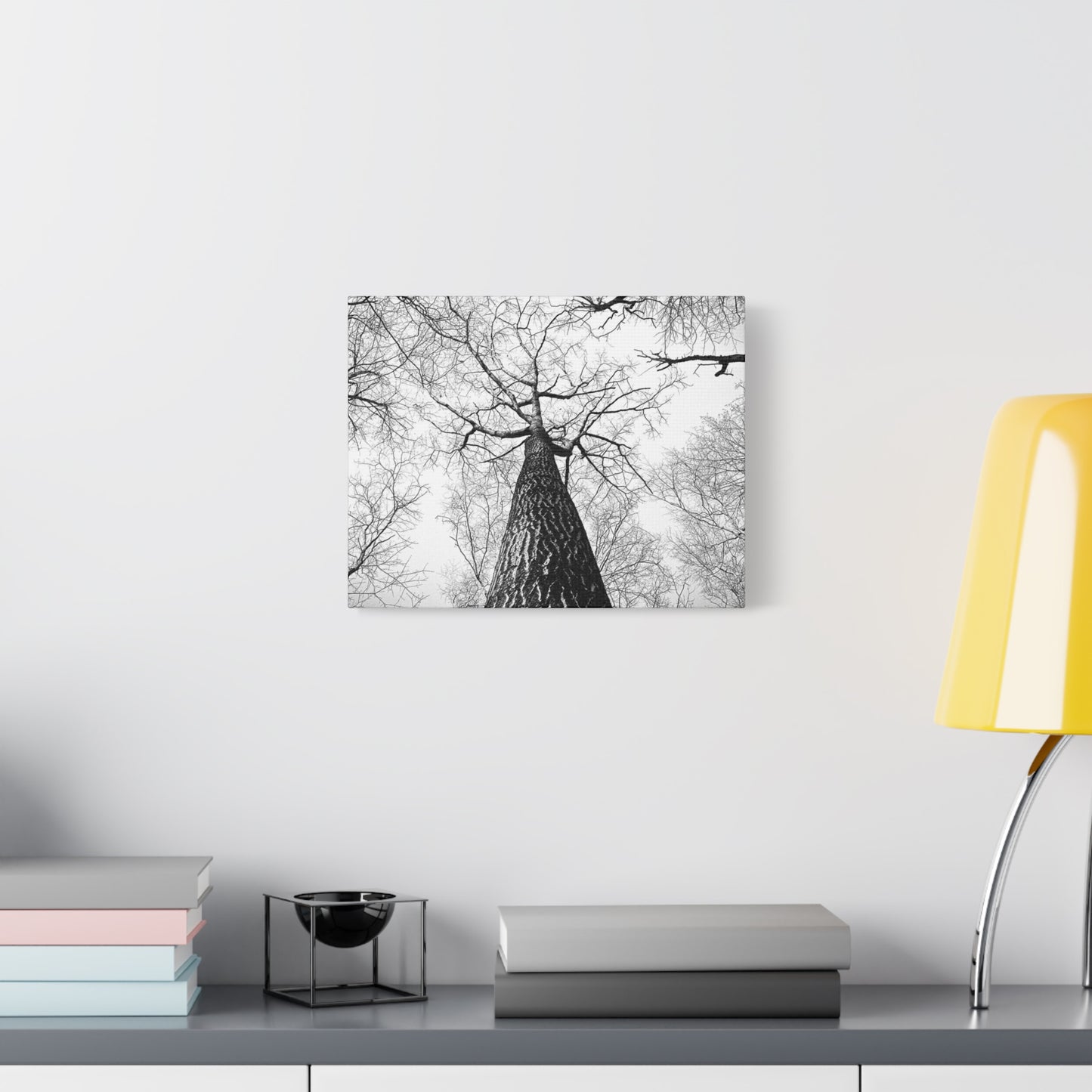 Black & White Tree Canopy Matte Canvas Wall Art — Upward Forest Photography
