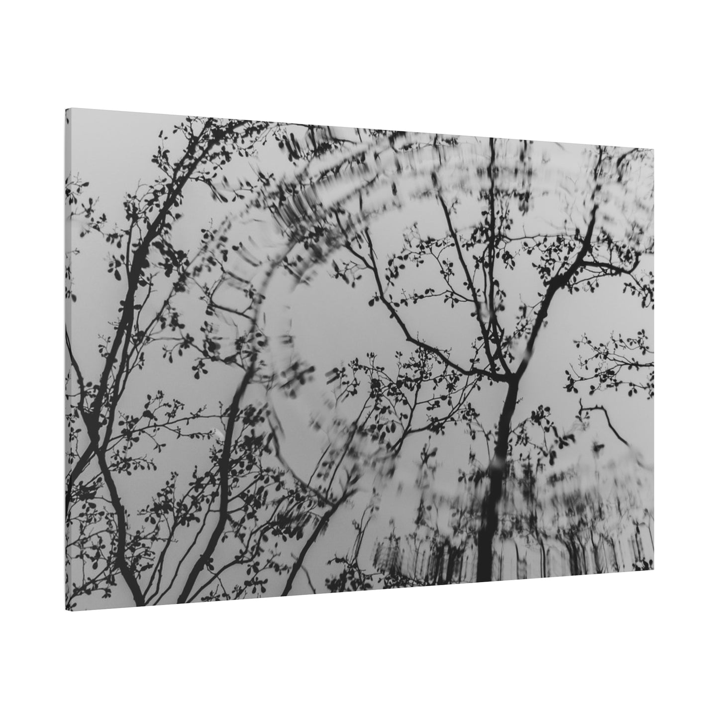 Canvas Wall Art — Monochrome Blurred Ferris Wheel with Tree Silhouettes