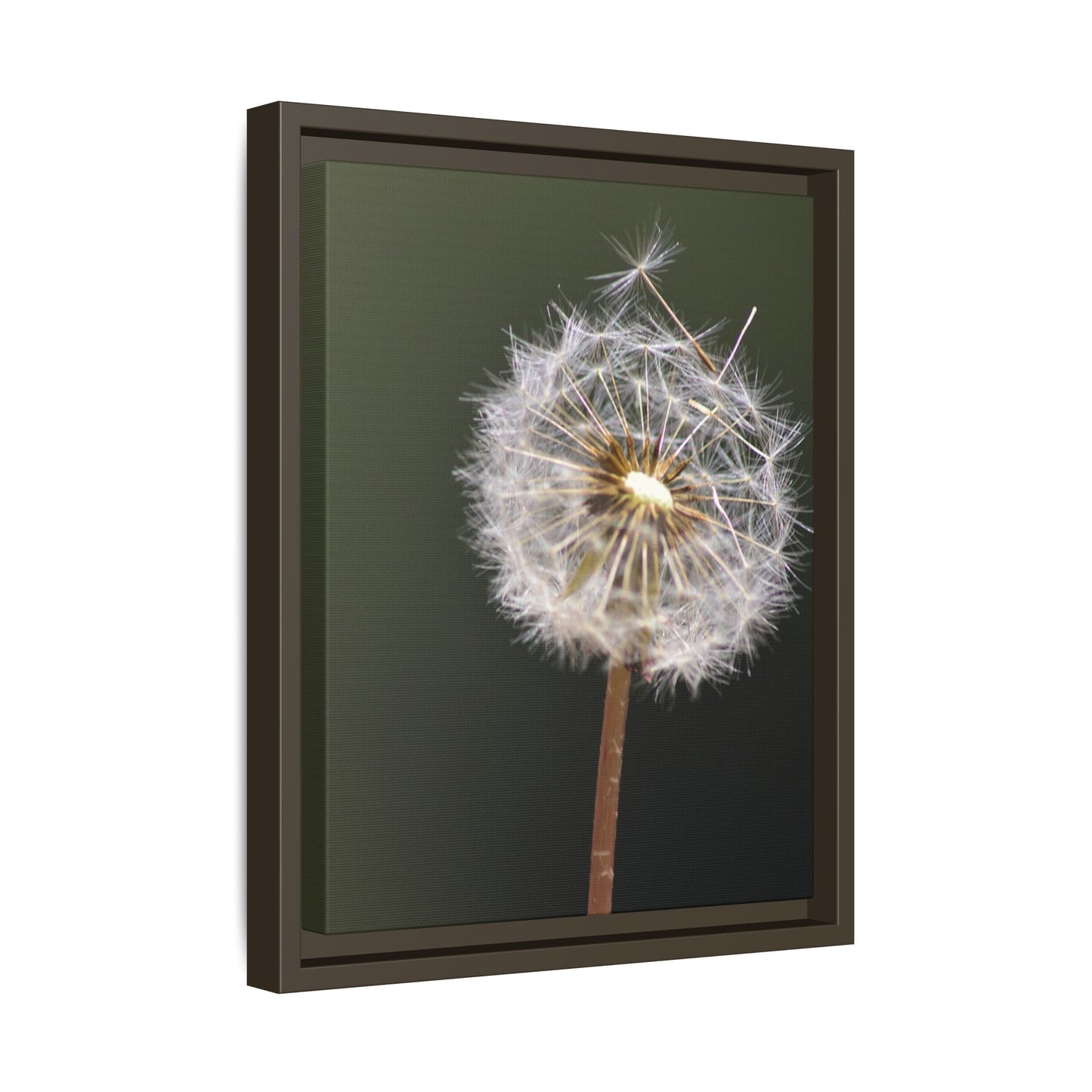 Framed Dandelion Canvas Print — Matte Botanical Wall Art