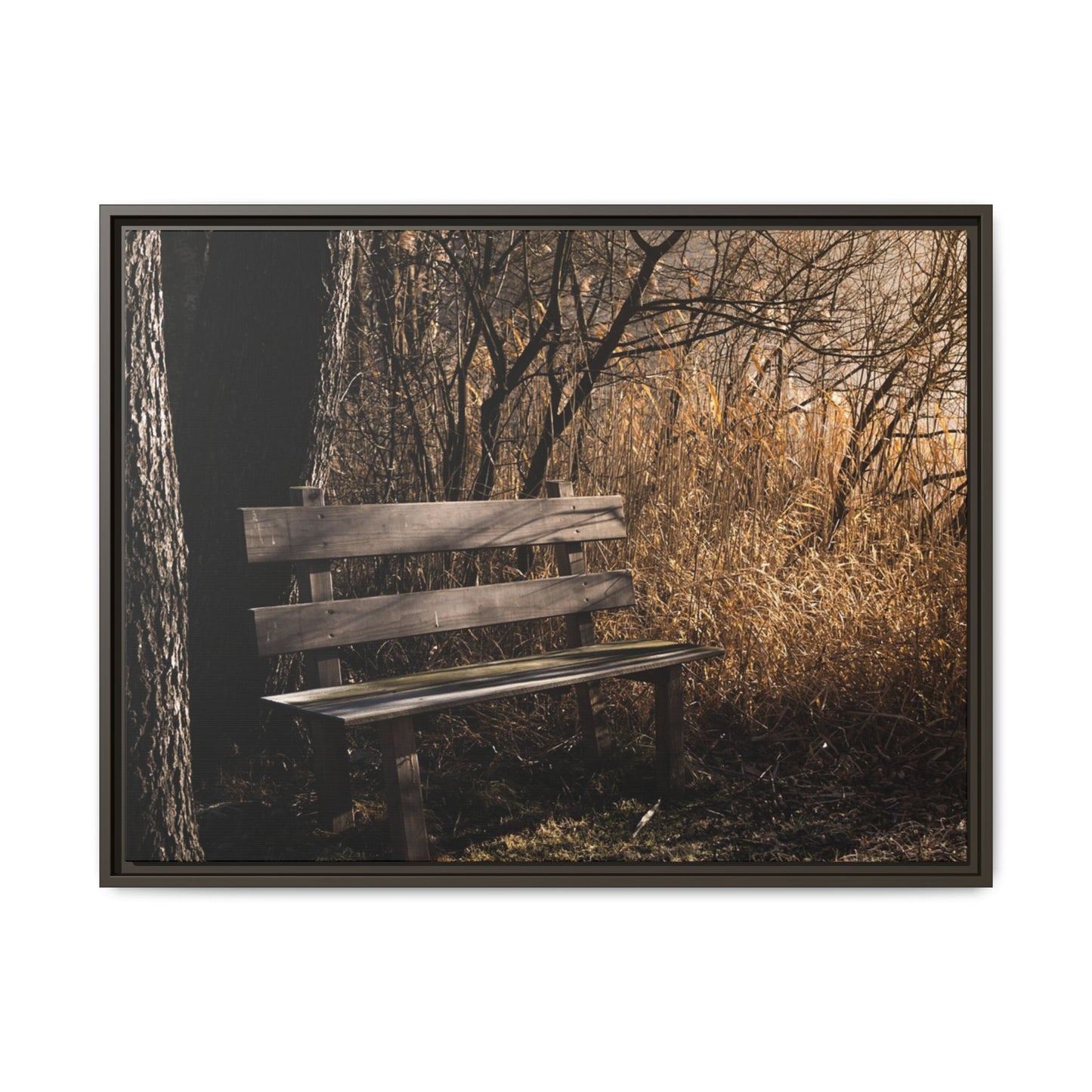 Framed Matte Canvas Print — Autumn Park Bench Photography