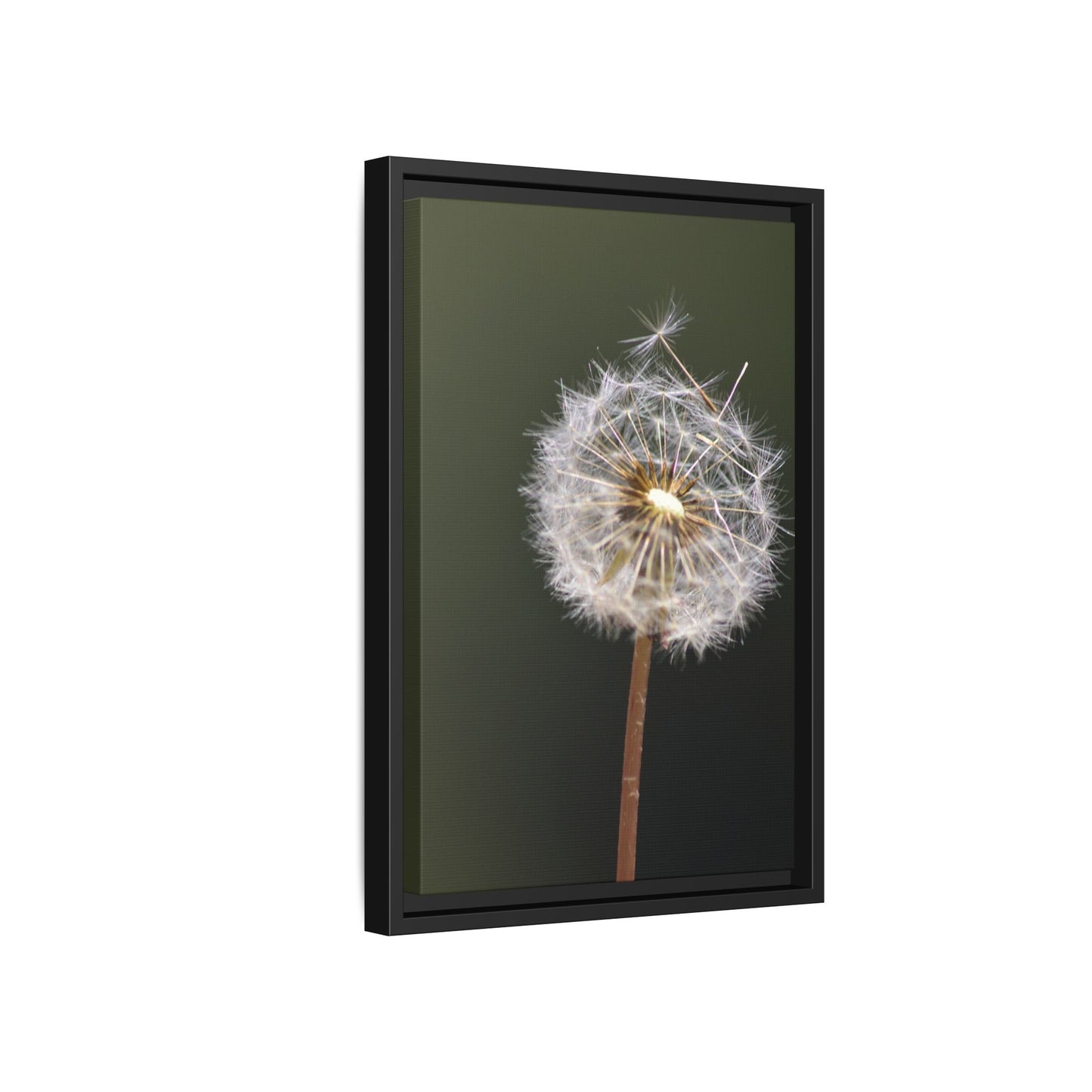 Framed Dandelion Canvas Print — Matte Botanical Wall Art