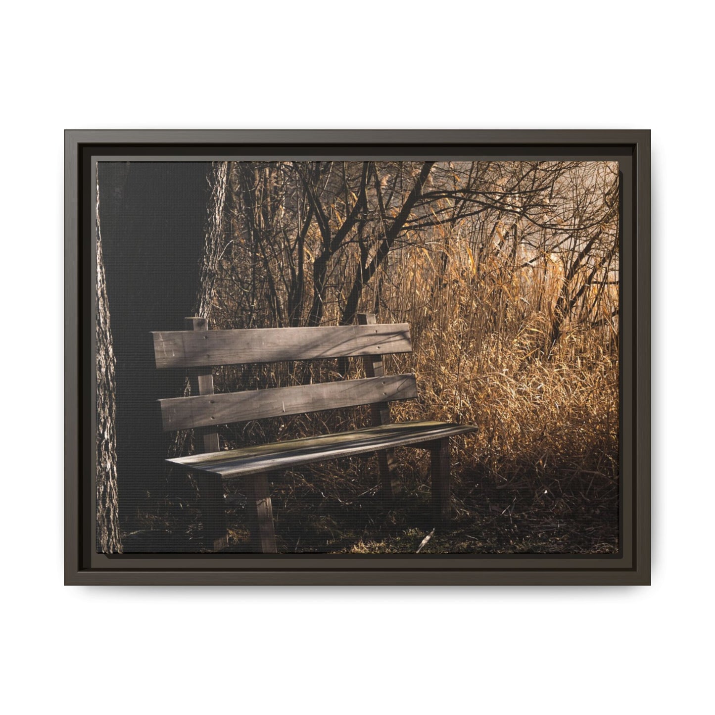 Framed Matte Canvas Print — Autumn Park Bench Photography