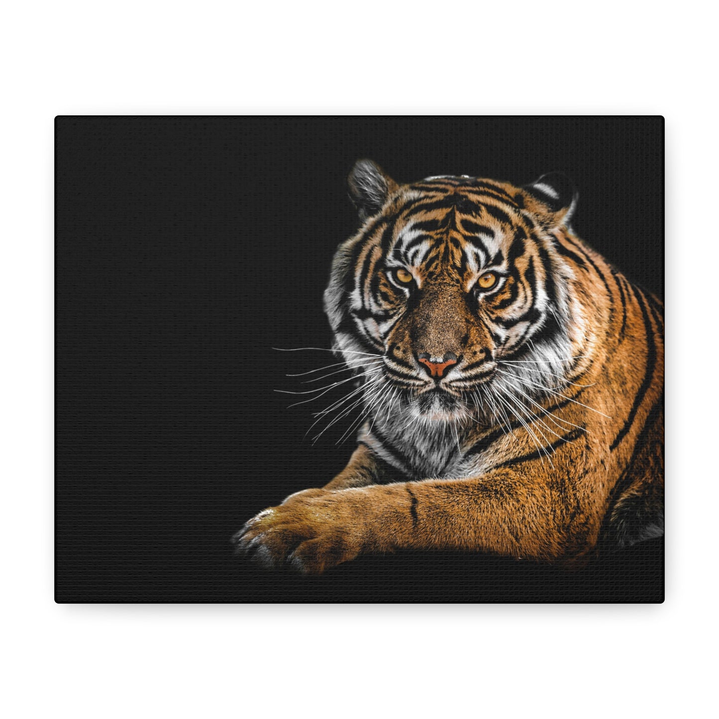 Majestic Tiger Canvas Art, Perfect for Animal Lovers