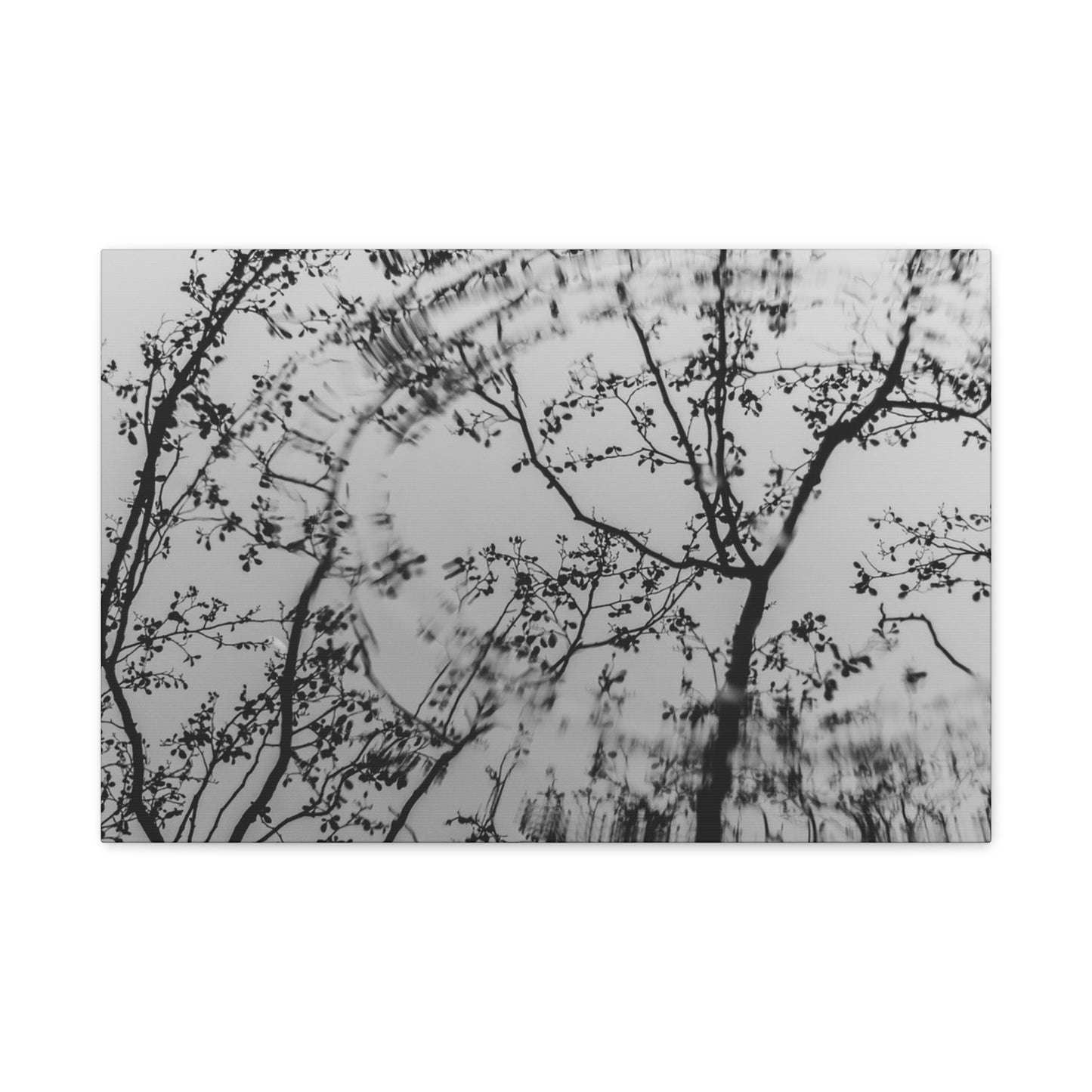 Canvas Wall Art — Monochrome Blurred Ferris Wheel with Tree Silhouettes