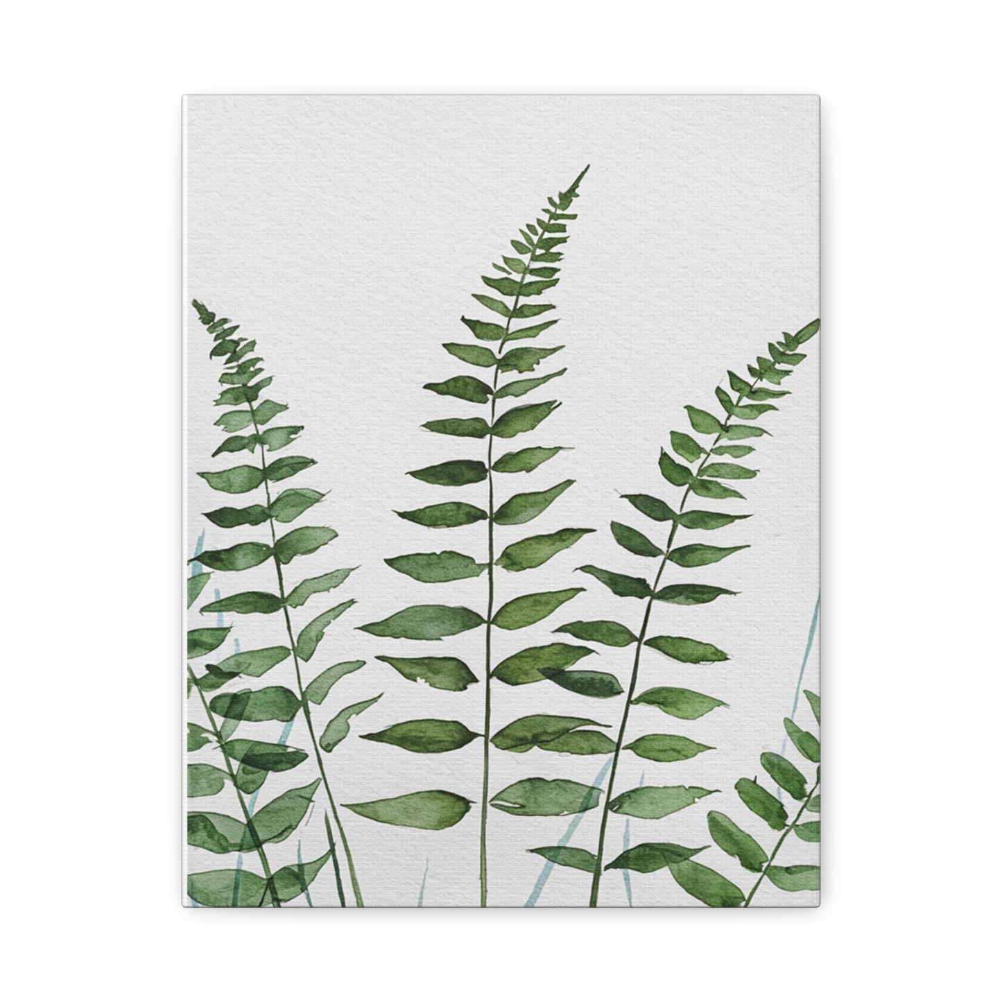 Fern Watercolor Canvas Art – Botanical Matte Stretched Wall Print
