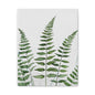 Fern Watercolor Canvas Art – Botanical Matte Stretched Wall Print