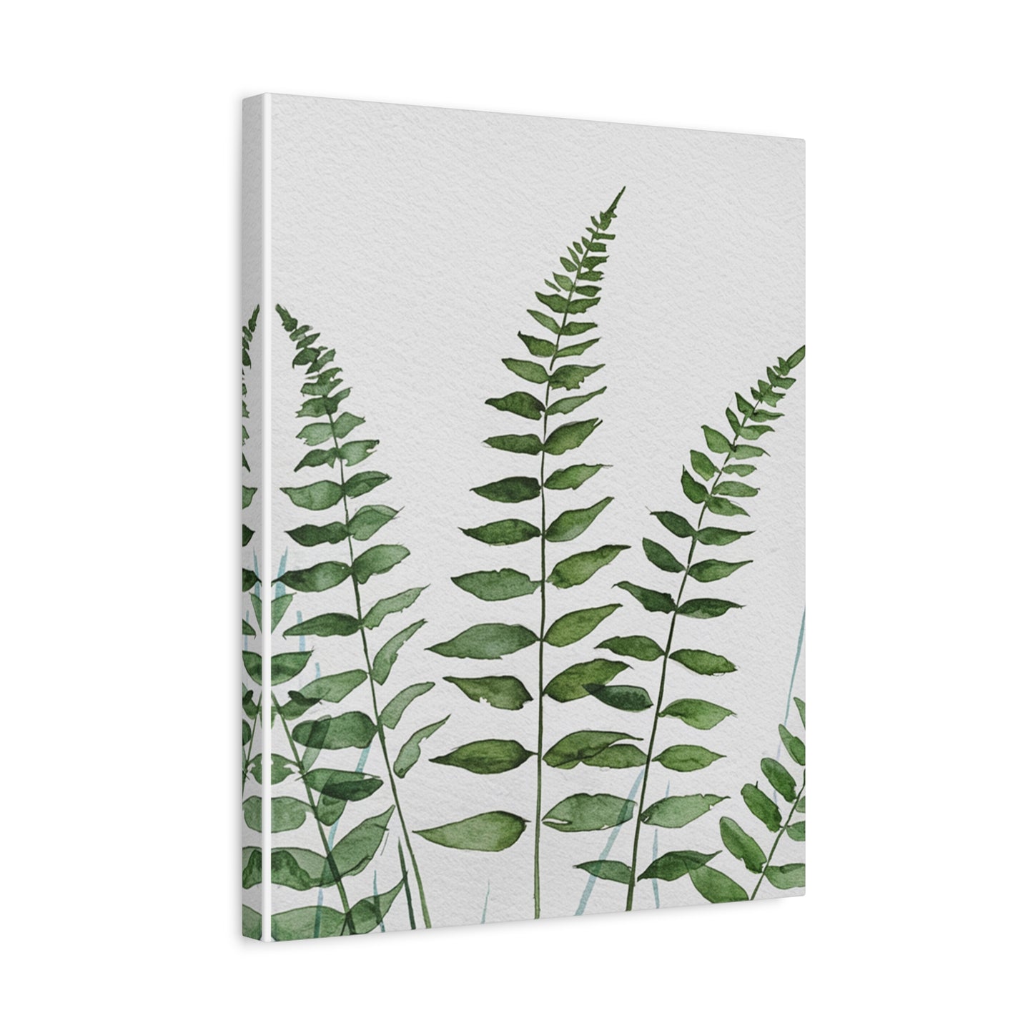 Fern Watercolor Canvas Art – Botanical Matte Stretched Wall Print