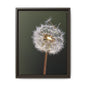Framed Dandelion Canvas Print — Matte Botanical Wall Art