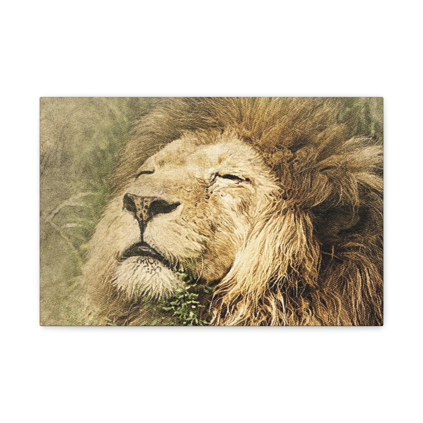Lion Portrait Matte Canvas Print — Stretched 1.25" Wall Art
