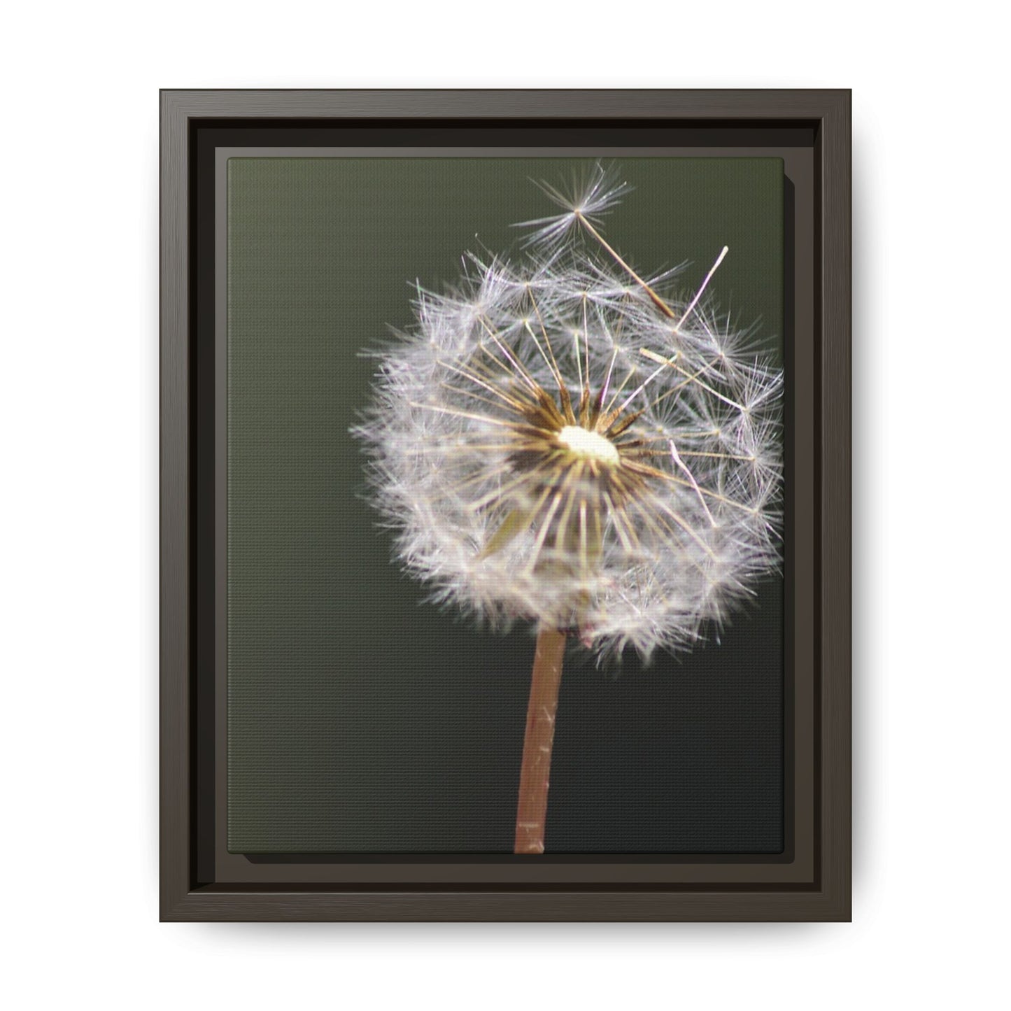 Framed Dandelion Canvas Print — Matte Botanical Wall Art