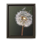 Framed Dandelion Canvas Print — Matte Botanical Wall Art