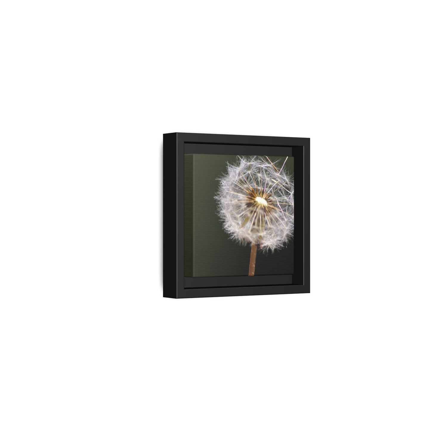Framed Dandelion Canvas Print — Matte Botanical Wall Art