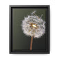 Framed Dandelion Canvas Print — Matte Botanical Wall Art