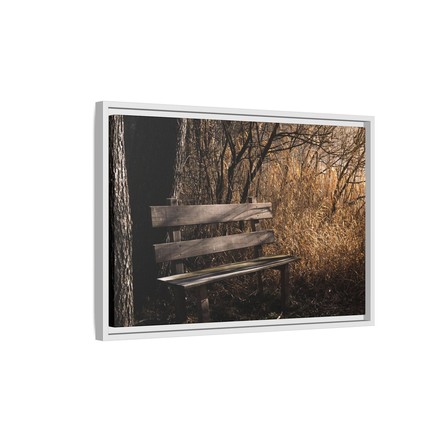 Framed Matte Canvas Print — Autumn Park Bench Photography