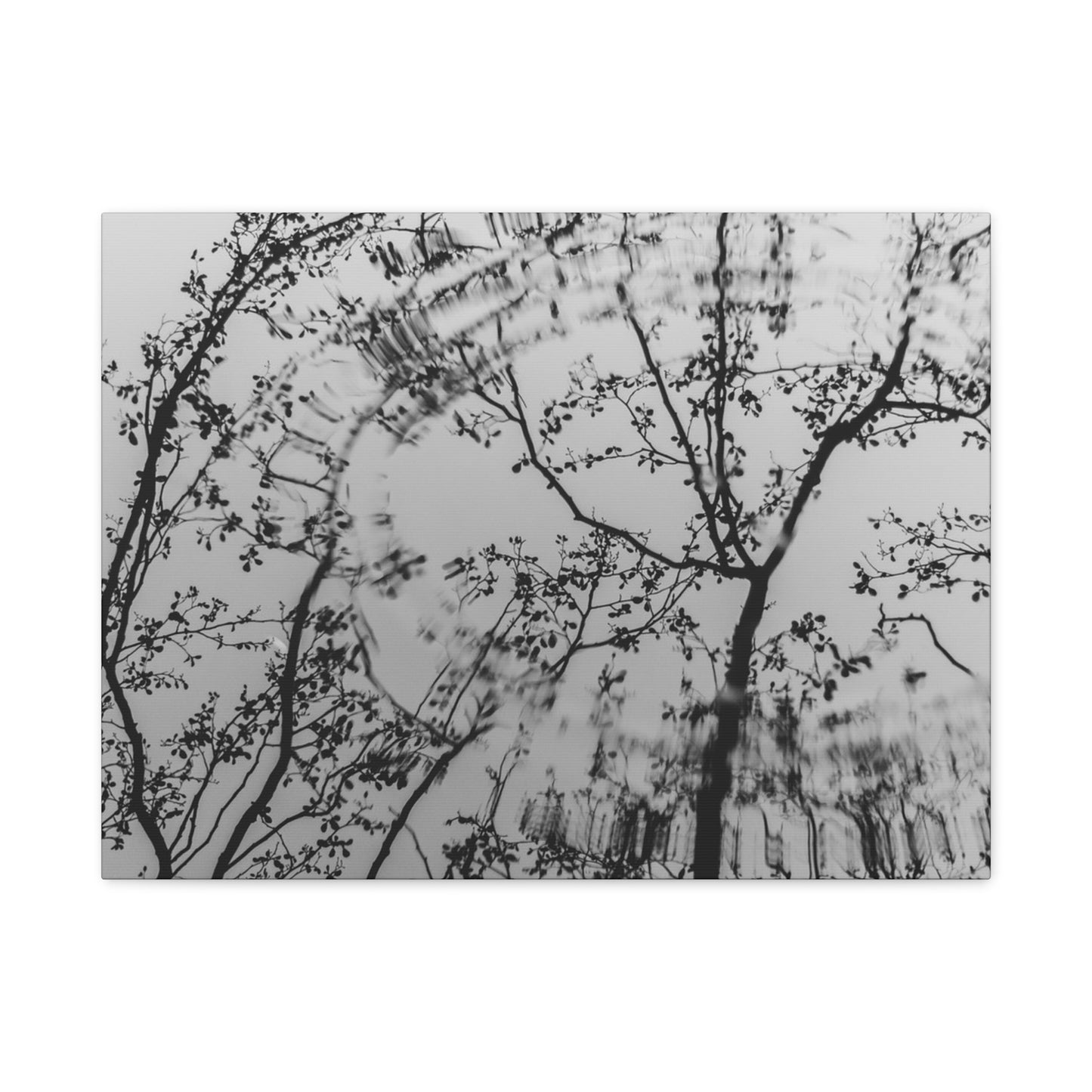 Canvas Wall Art — Monochrome Blurred Ferris Wheel with Tree Silhouettes