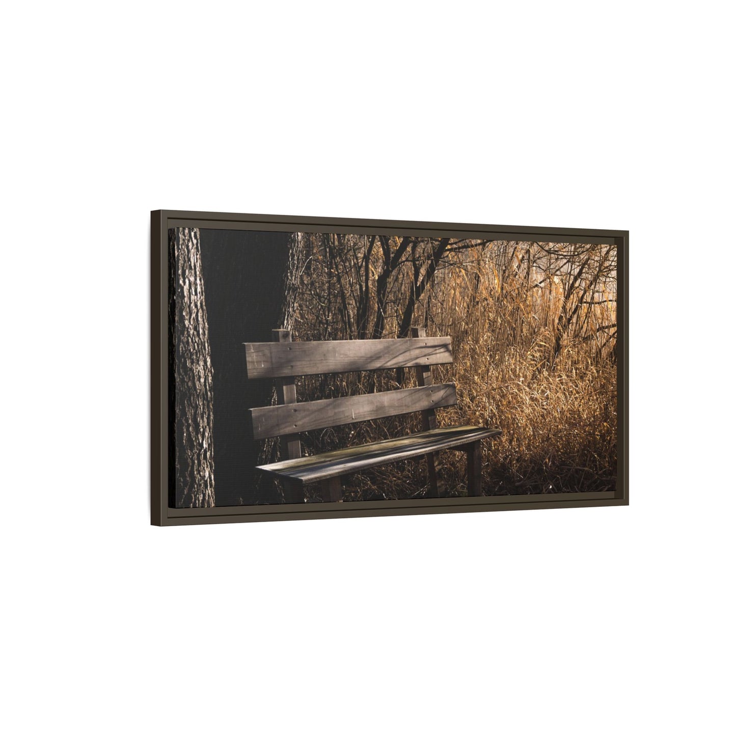 Framed Matte Canvas Print — Autumn Park Bench Photography