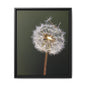Framed Dandelion Canvas Print — Matte Botanical Wall Art
