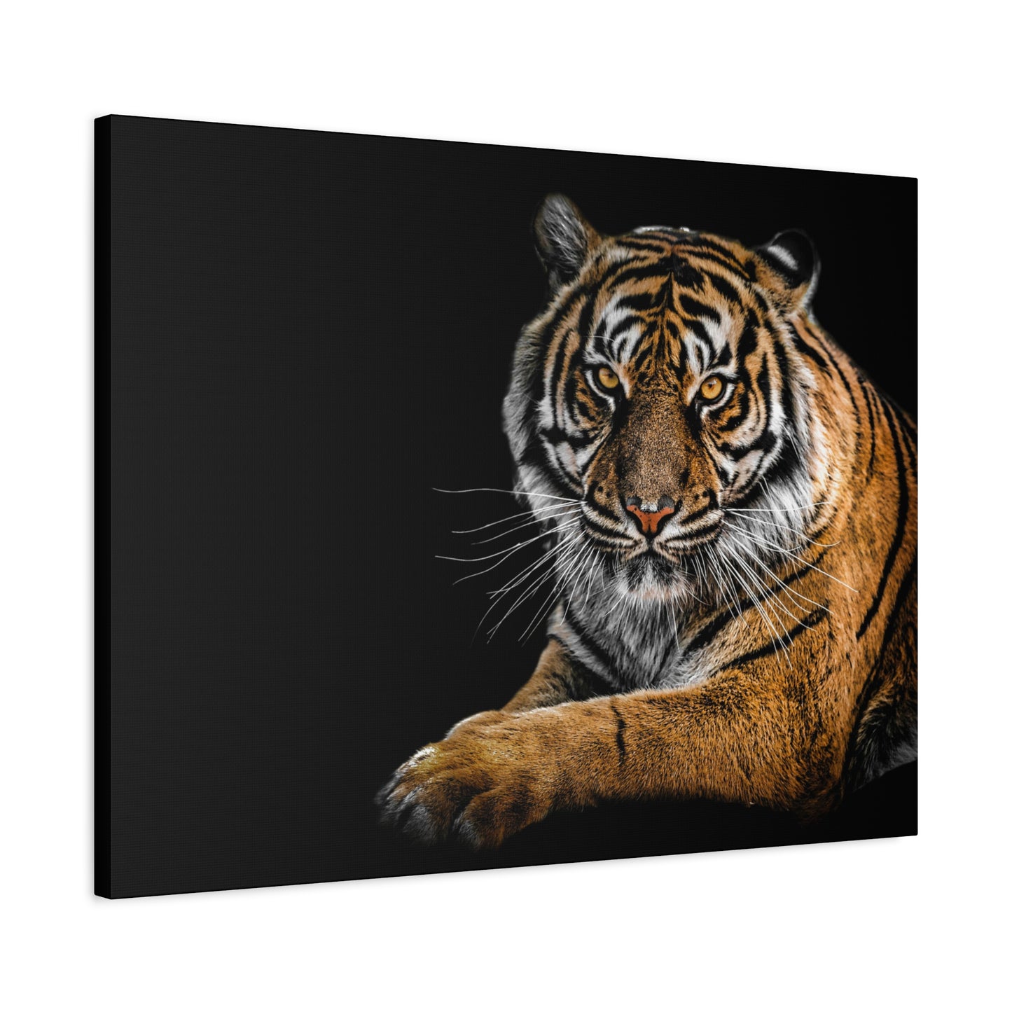 Majestic Tiger Canvas Art, Perfect for Animal Lovers
