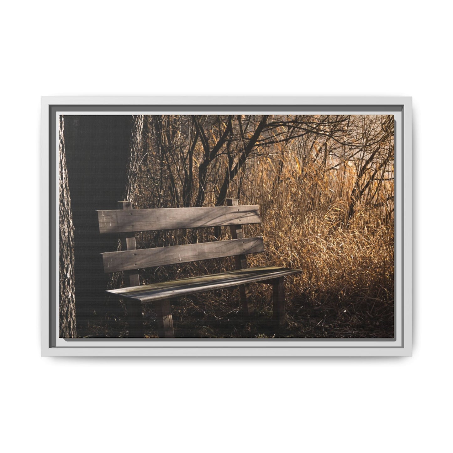 Framed Matte Canvas Print — Autumn Park Bench Photography