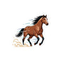Running Bay Horse Sticker — Kiss-Cut Vinyl Sticker for Laptops, Water Bottles & Gear