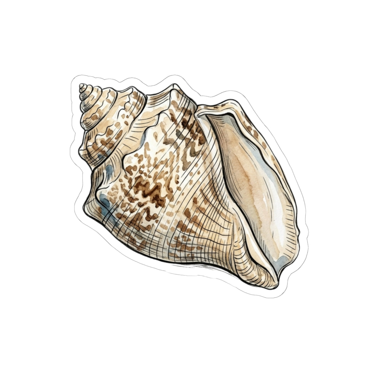 Seashell Kiss-Cut Sticker — Realistic Conch Shell Laptop Decal