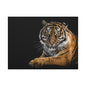 Majestic Tiger Canvas Art, Perfect for Animal Lovers